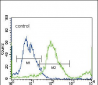 SLC36A1 Antibody (N-term)